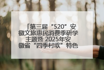 第三届“520”安徽文旅惠民消费季研学主题暨 2025年安徽省“四季村歌”特色展演燃动池州
