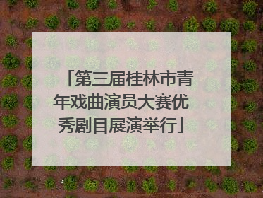 第三届桂林市青年戏曲演员大赛优秀剧目展演举行