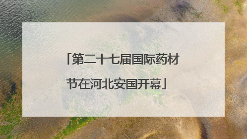 第二十七届国际药材节在河北安国开幕