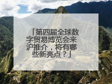 第四届全球数字贸易博览会来沪推介，将有哪些新亮点？