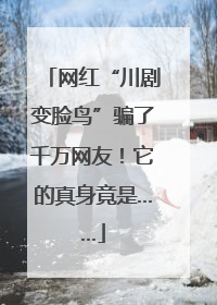 网红“川剧变脸鸟”骗了千万网友！它的真身竟是……
