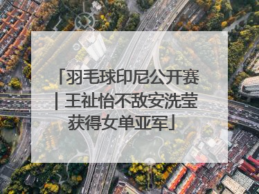 羽毛球印尼公开赛｜王祉怡不敌安洗莹 获得女单亚军