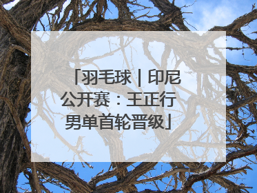羽毛球｜印尼公开赛：王正行男单首轮晋级