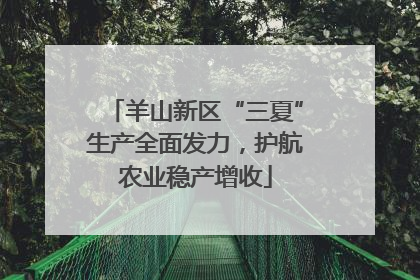 羊山新区“三夏”生产全面发力，护航农业稳产增收