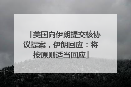 美国向伊朗提交核协议提案，伊朗回应：将按原则适当回应