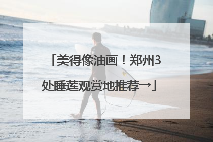 美得像油画！郑州3处睡莲观赏地推荐→