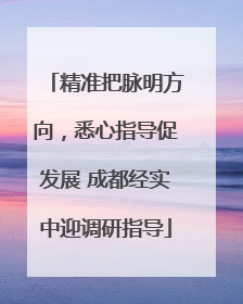 精准把脉明方向，悉心指导促发展 成都经实中迎调研指导
