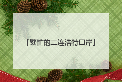 繁忙的二连浩特口岸