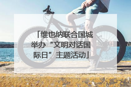 维也纳联合国城举办“文明对话国际日”主题活动