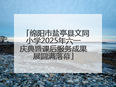 绵阳市盐亭县文同小学2025年六一庆典暨课后服务成果展圆满落幕