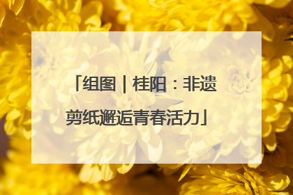组图｜桂阳：非遗剪纸邂逅青春活力