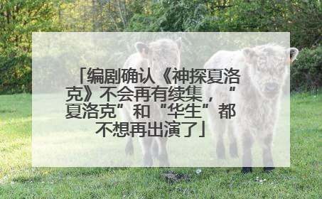 编剧确认《神探夏洛克》不会再有续集，“夏洛克”和“华生”都不想再出演了