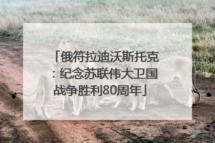 俄符拉迪沃斯托克:纪念苏联伟大卫国战争胜利80周年
