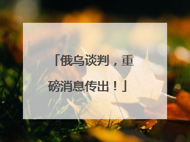 俄乌谈判，重磅消息传出！