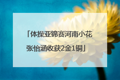 体操亚锦赛河南小花张怡涵收获2金1铜