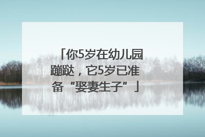你5岁在幼儿园蹦跶，它5岁已准备“娶妻生子”