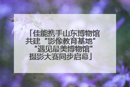 佳能携手山东博物馆共建“影像教育基地” “遇见最美博物馆”摄影大赛同步启幕