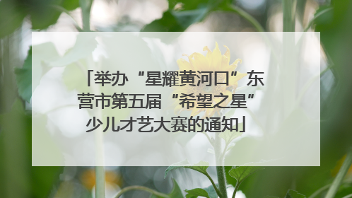 举办“星耀黄河口”东营市第五届“希望之星”少儿才艺大赛的通知