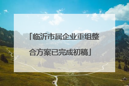 临沂市属企业重组整合方案已完成初稿