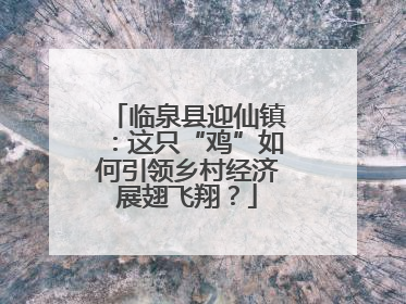 临泉县迎仙镇：这只“鸡”如何引领乡村经济展翅飞翔？