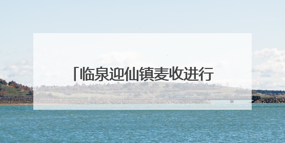 临泉迎仙镇麦收进行时：农机手“无忧作业”背后的服务温度