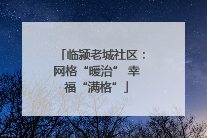 临颍老城社区：网格“暖治” 幸福“满格”