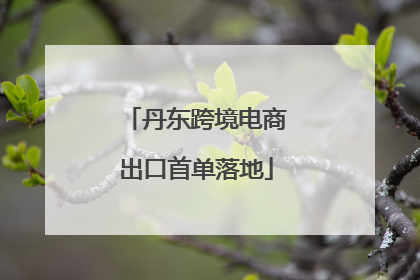 丹东跨境电商出口首单落地
