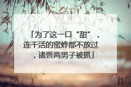 为了这一口“甜”，连干活的蜜蜂都不放过，诸暨两男子被抓