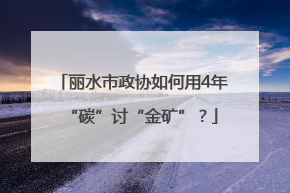 丽水市政协如何用4年“碳”讨“金矿”？