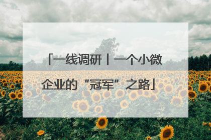 一线调研丨一个小微企业的“冠军”之路