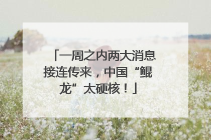 一周之内两大消息接连传来，中国“鲲龙”太硬核！