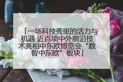 一场科技秀里的活力与机遇 近百项中外前沿技术亮相中东欧博览会“数智中东欧”板块