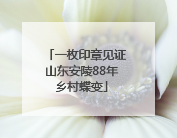一枚印章见证山东安陵88年乡村蝶变
