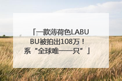 一款薄荷色LABUBU被拍出108万！系“全球唯一一只”