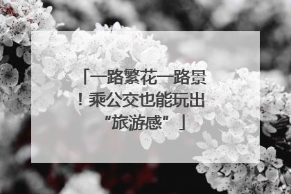 一路繁花一路景！乘公交也能玩出“旅游感”