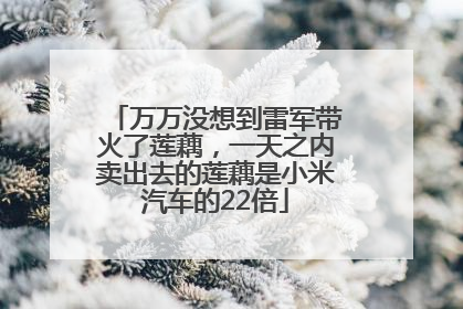 万万没想到雷军带火了莲藕，一天之内卖出去的莲藕是小米汽车的22倍