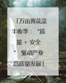 万亩黄花菜丰收季：“质量 + 安全” 驱动产业高质量发展
