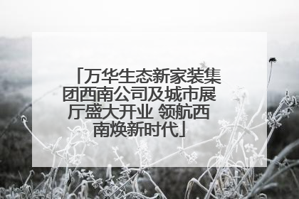 万华生态新家装集团西南公司及城市展厅盛大开业 领航西南焕新时代