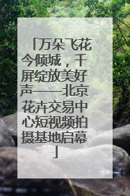 万朵飞花今倾城，千屏绽放美好声——北京花卉交易中心短视频拍摄基地启幕