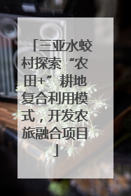 三亚水蛟村探索“农田+”耕地复合利用模式，开发农旅融合项目