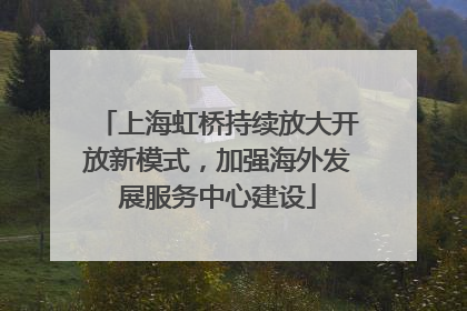 上海虹桥持续放大开放新模式，加强海外发展服务中心建设