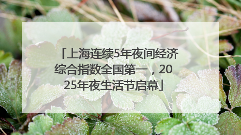 上海连续5年夜间经济综合指数全国第一，2025年夜生活节启幕