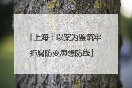 上海：以案为鉴筑牢拒腐防变思想防线