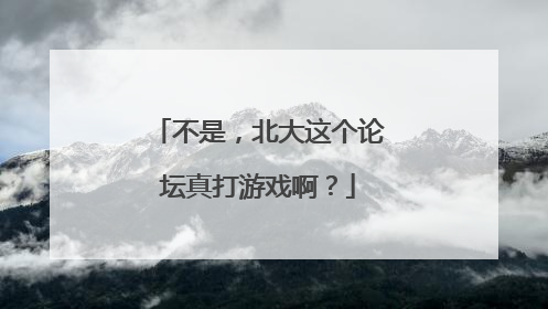 不是，北大这个论坛真打游戏啊？