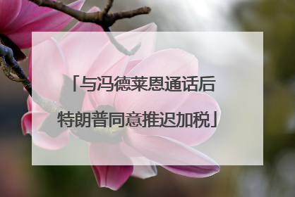 与冯德莱恩通话后 特朗普同意推迟加税
