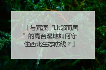 与荒漠“比邻而居”的高台湿地如何守住西北生态防线？