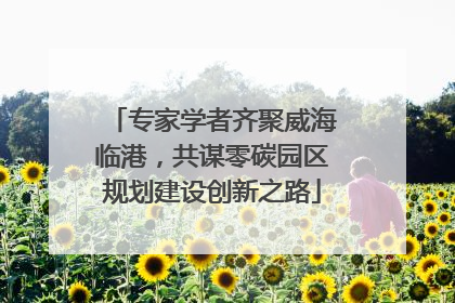 专家学者齐聚威海临港，共谋零碳园区规划建设创新之路