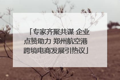 专家齐聚共谋 企业点赞助力 郑州航空港跨境电商发展引热议