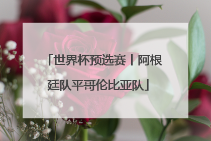世界杯预选赛丨阿根廷队平哥伦比亚队