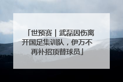 世预赛｜武磊因伤离开国足集训队，伊万不再补招顶替球员